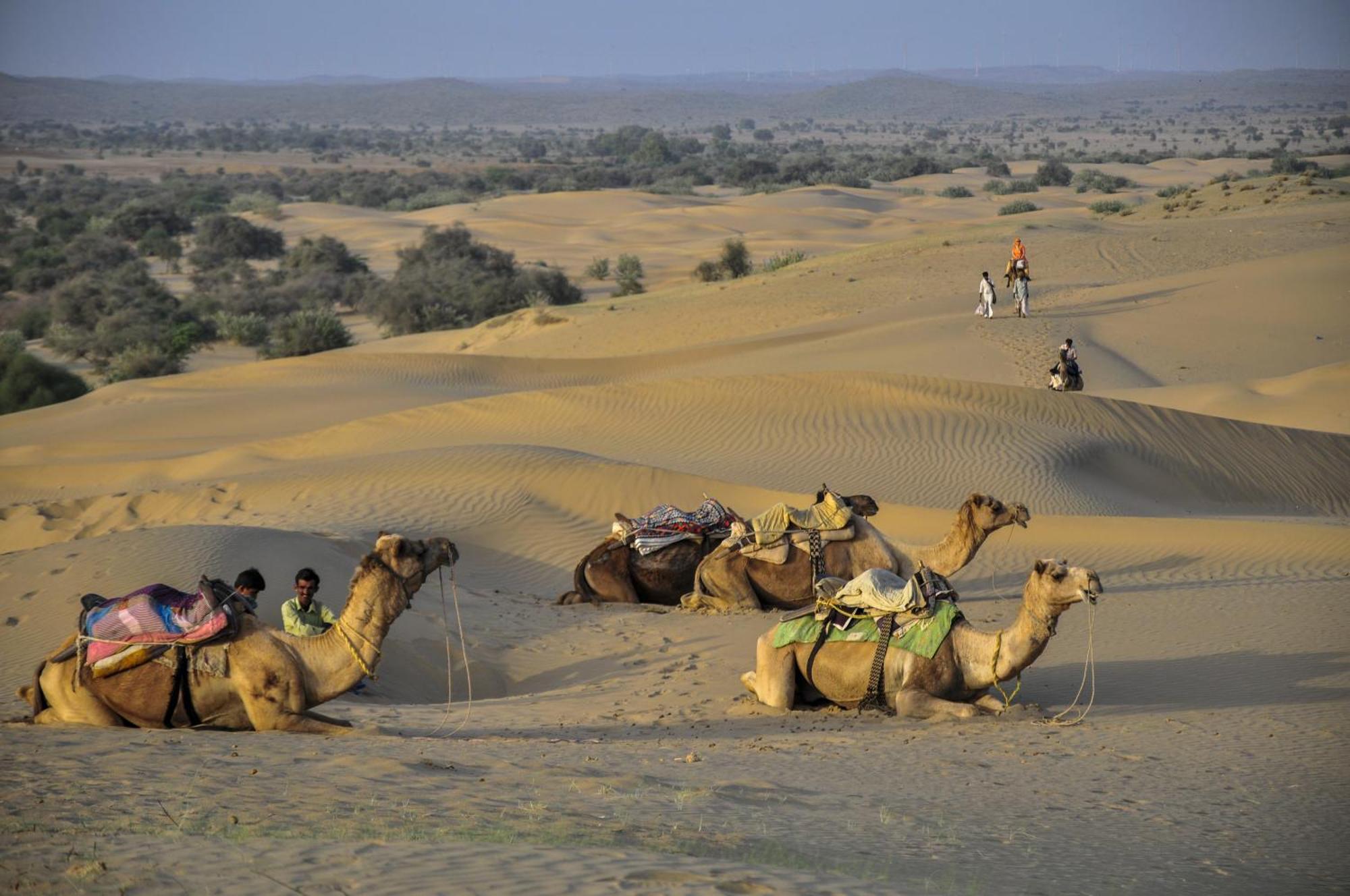 Hotel Royal Jaisalmer Extérieur photo